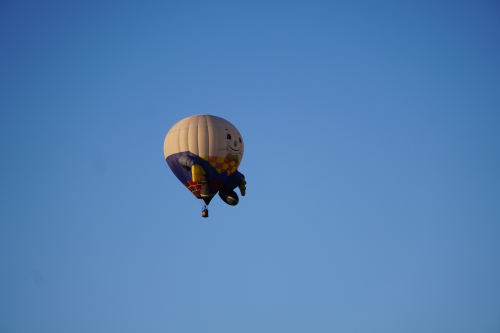 Hot Air Balloon Fiesta 2022
