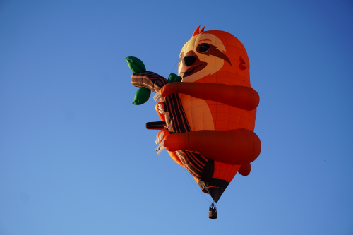 Hot Air Balloon Fiesta 2022