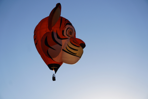 Hot Air Balloon Fiesta 2022