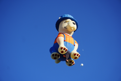 Hot Air Balloon Fiesta 2022