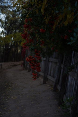 New Mexico in the Fall Season