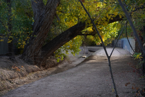 New Mexico in the Fall Season