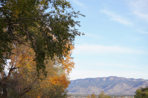 New Mexico in the Fall Season
