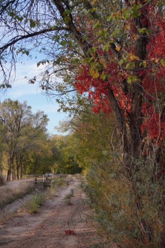 New Mexico in the Fall Season