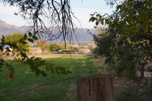 New Mexico in the Fall Season