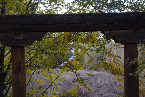 New Mexico in the Fall Season
