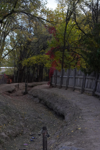 New Mexico in the Fall Season
