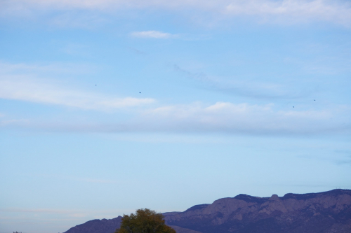 New Mexico in the Fall Season