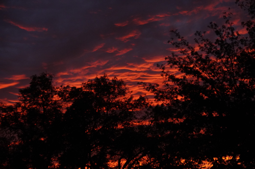 Albuquerque, New Mexico Sky