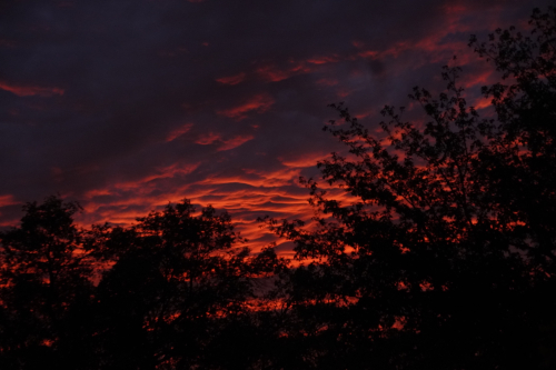 Albuquerque, New Mexico Sky