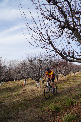 Hays Apple Farm CX Race 2024