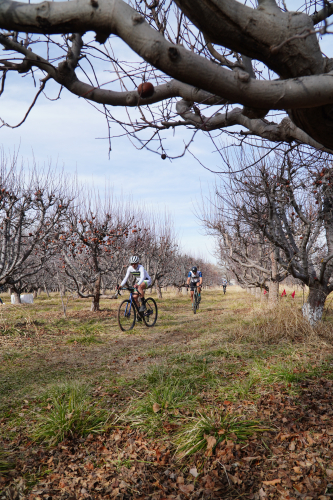Hays Apple Farm CX Race 2024